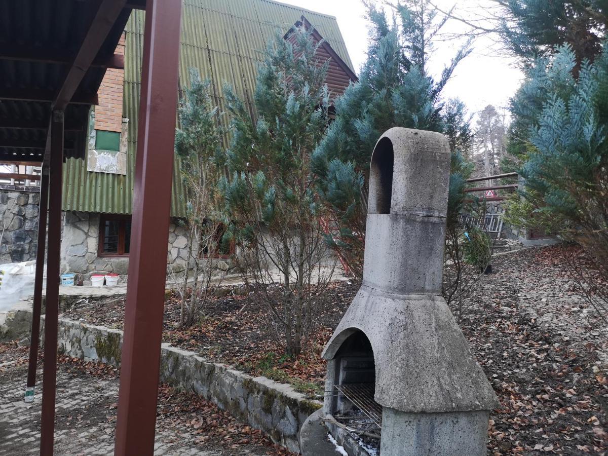 Vila Ines Sinaia Exterior foto
